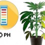 Các tác động của độ PH đối với sự phát triển của cây trồng
