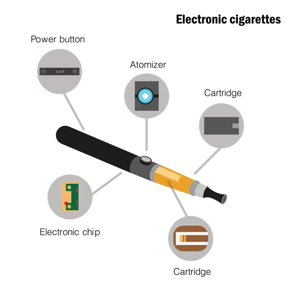 Cấu tạo máy đo oxy hòa tan